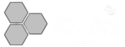 BIZNOVA